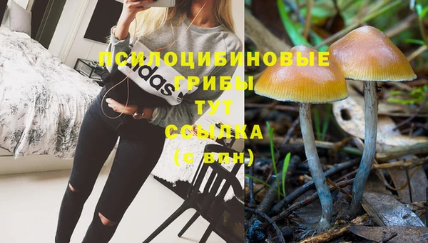 эйфоретик Аркадак