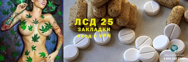 крисы Арсеньев