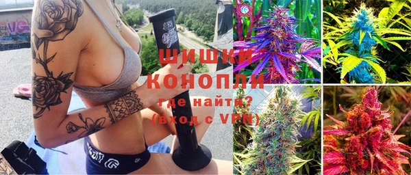 крисы Арсеньев